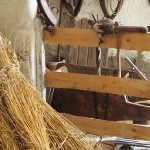 Kleinbauernmuseum Reitzendorfq