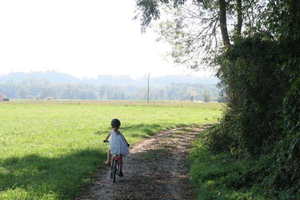 84453 Mühldorf - Auf den Weg gemacht