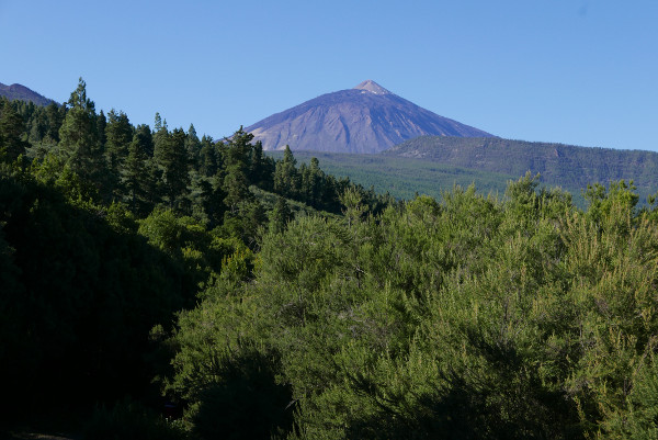 Der Teide