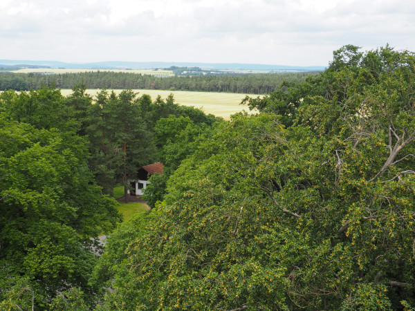 Vermeintlich gewünscht
