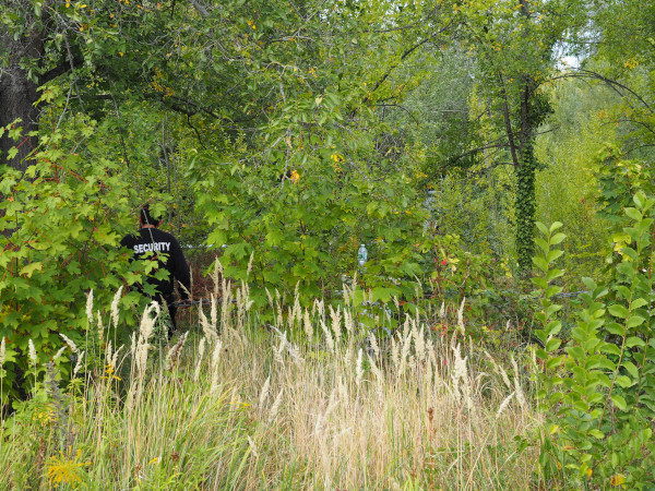 Wie sie sehen, sehen sie nichts – Spreepark Berlin