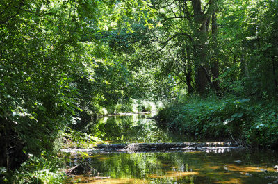 Alice, immer eine Ecke weiter