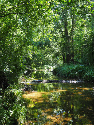 Alice, immer eine Ecke weiter