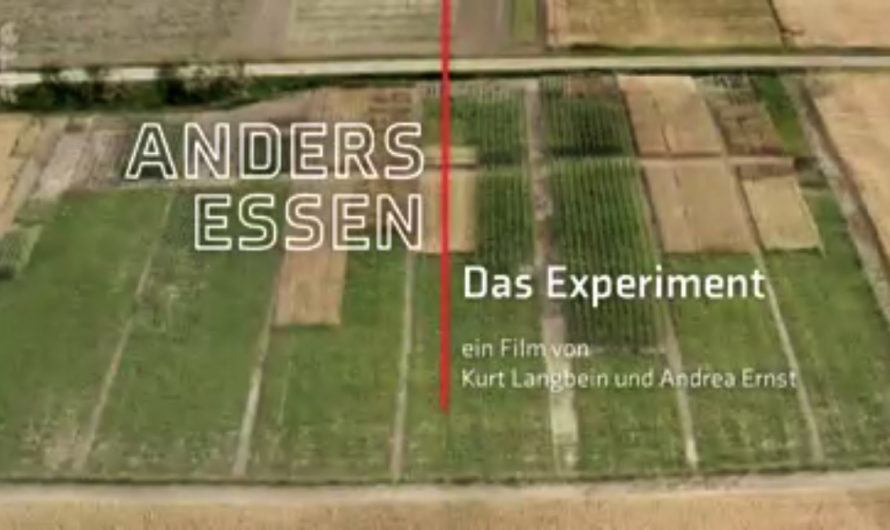 Das Feld des Durchschnittsbürgers