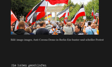 Demokratiefibel: Rebellen und Querulanten