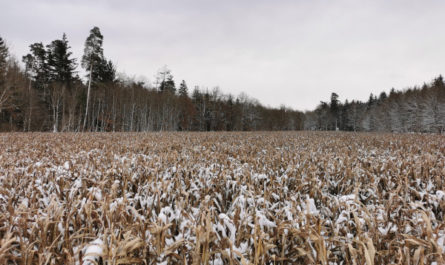 Weite und Weite, Trimm-Dich-Pfad in 84504 Altötting