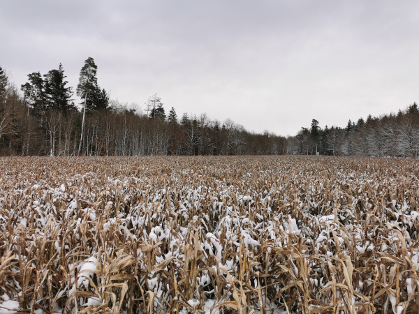 Weite und Weite, Trimm-Dich-Pfad in 84504 Altötting
