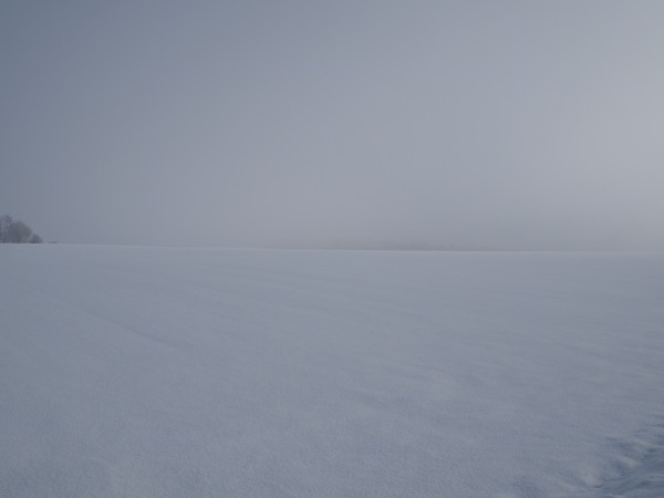 DIE MACHT DES SCHNEES