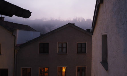 Stillleben, nahezu monochrom