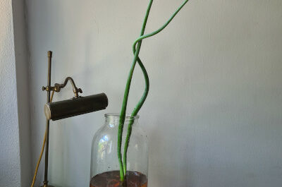 50 shades of red – like an onion