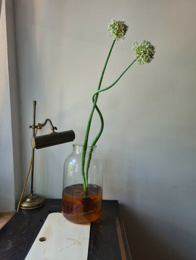 50 shades of red – like an onion