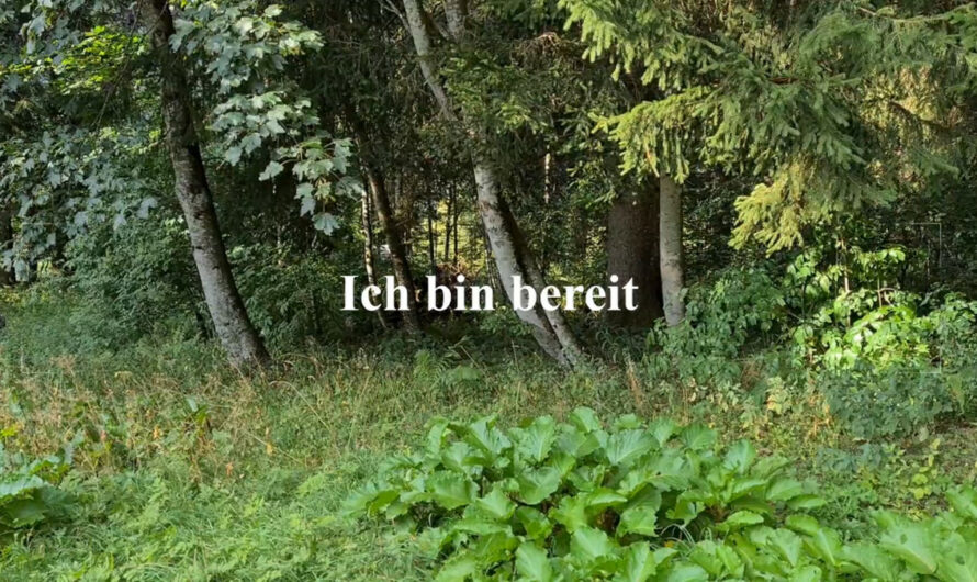 Lyrik: Ich bin bereit