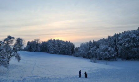 Winter, Winter, weiß, weiß