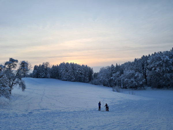 Winter, Winter, weiß, weiß