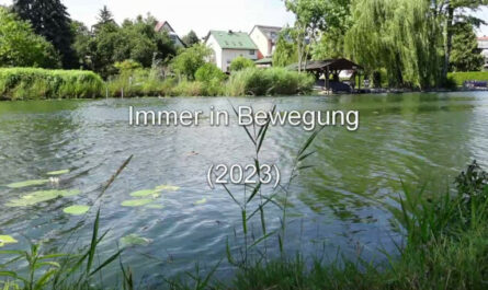 Gedicht: Immer in Bewegung