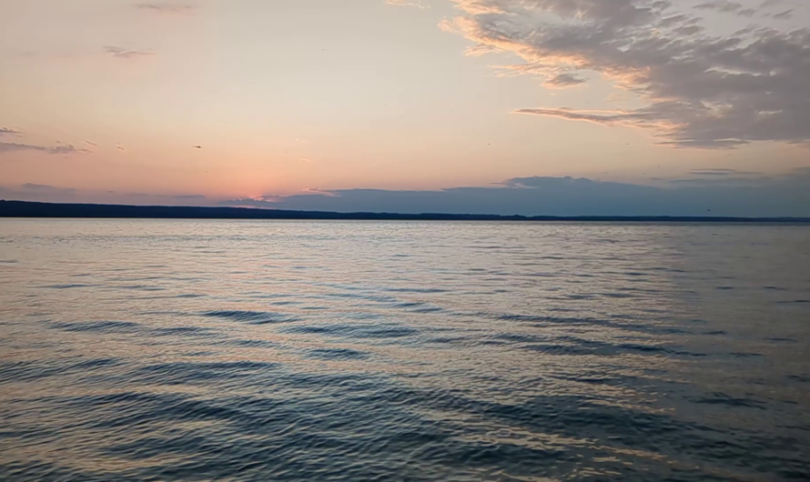 StillVideo: Ammersee