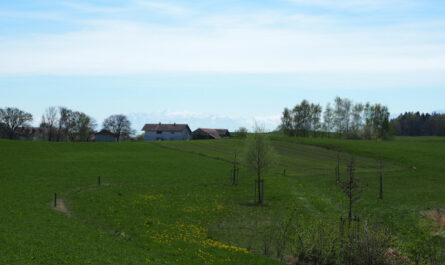 Schöner als echt: Saftig grüne Wiesen, strahlend blauer Himmel