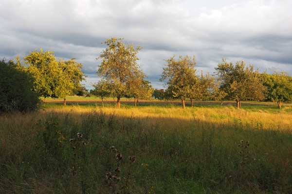 Goldener nie war das Licht, 35418 Buseck
