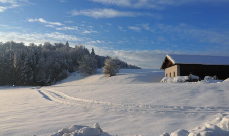 Schneelandschaft 2023, 84508 Hirten