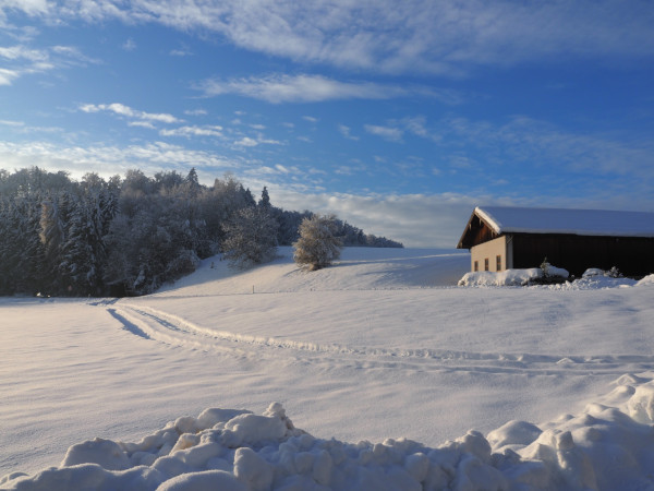 Schneelandschaft 2023, 84508 Hirten