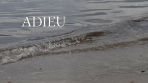 Gedicht: Adieu (2024)