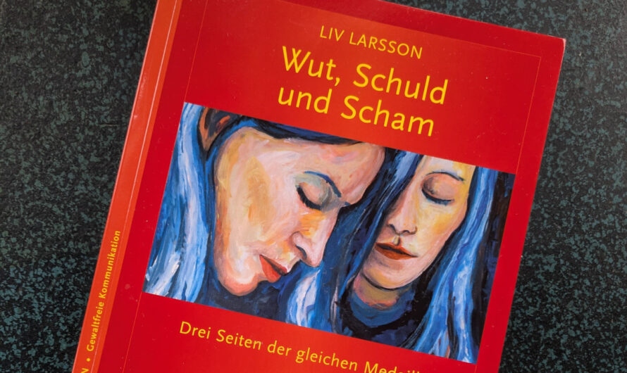 Sommerlektüre 2: Wut, Schuld und Scham