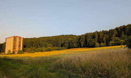 Dies waren die goldenen Zeiten, 35418 Buseck