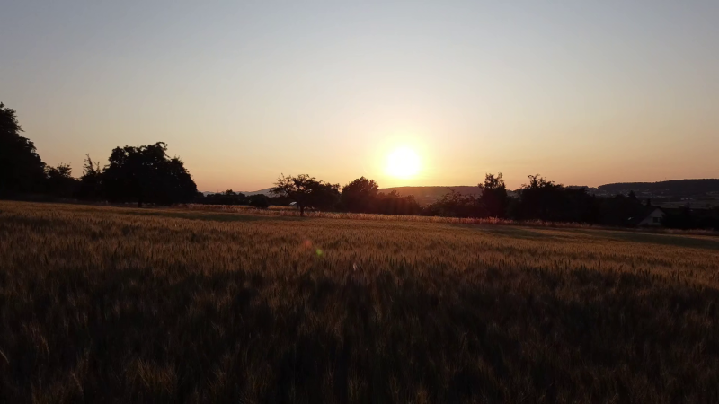 Über das Feld mit der Drohne, 35418 Buseck