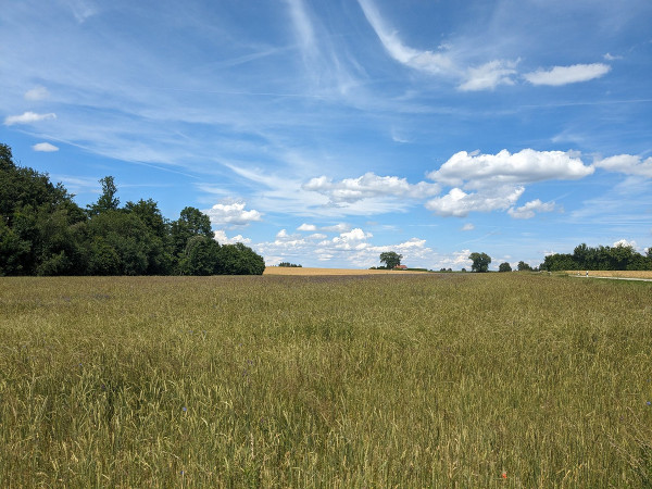 Gedicht: Blühende Landschaften
