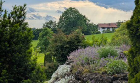 burghausen_voller leben
