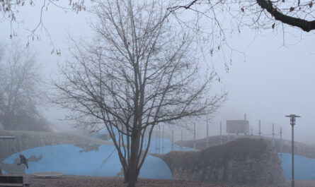 Der Winter ist vorbei… (Nacht und Nebel)