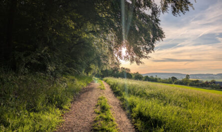 Lens Flare bei wunderschönem Sonnenuntergang, 35418 Buseck