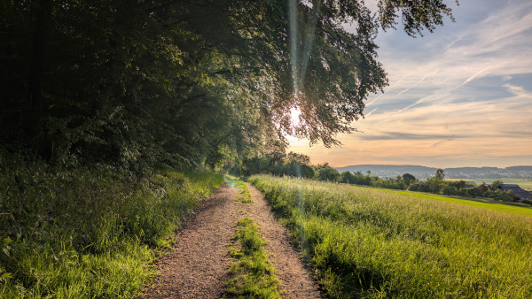 Lens Flare bei wunderschönem Sonnenuntergang, 35418 Buseck