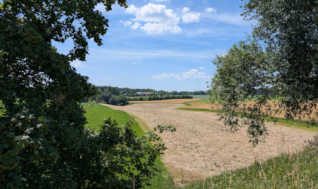 Im Sommer, 84553 Halsbach
