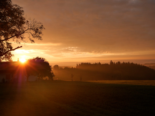 Wunderschön der Herbst (Nebelmorgen)